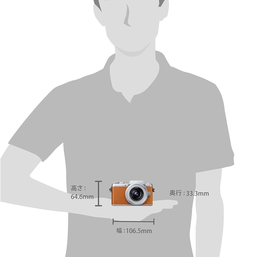 Amazon.com : Panasonic mirrorless SLR Camera DMC-GF7 Double